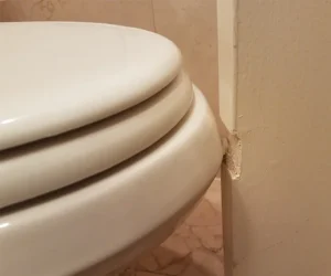 toilet mistake